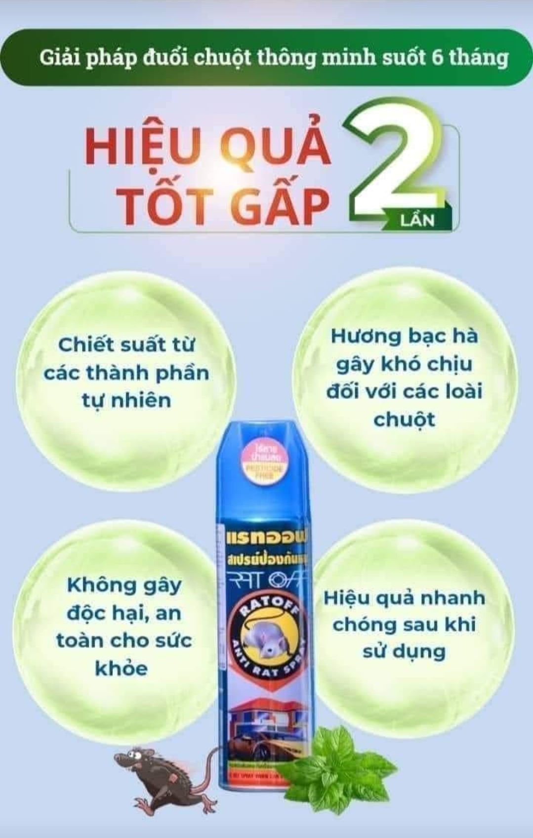 Chống chuột xe ô tô xịt hiệu quả