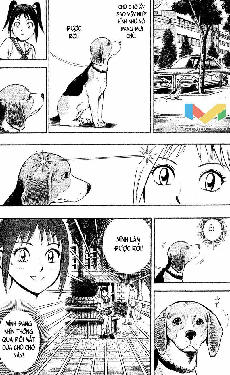 animal sense chapter 1 27