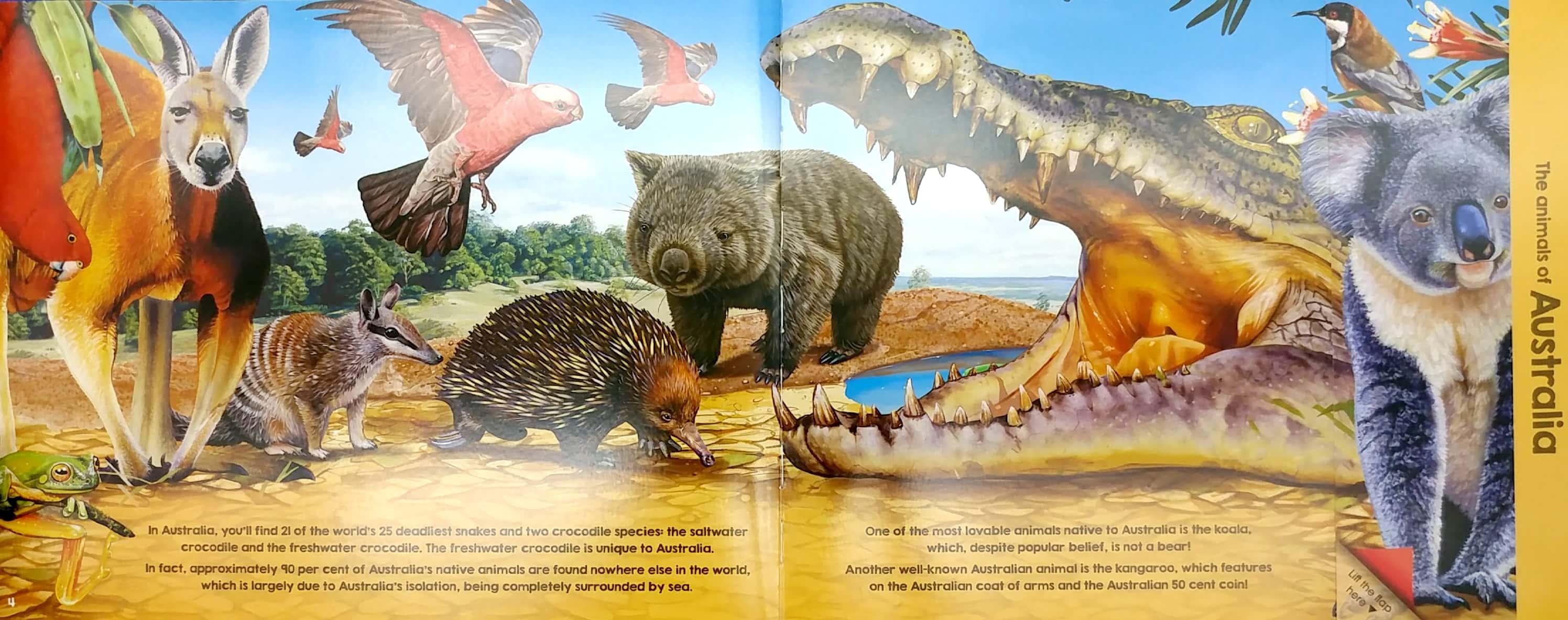 Animals Of The World