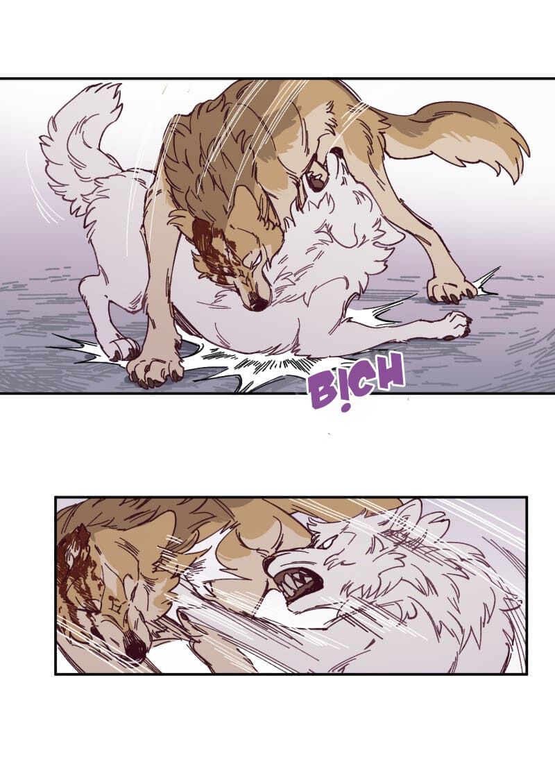 lumine - cội nguồn ánh sáng chapter 115 38