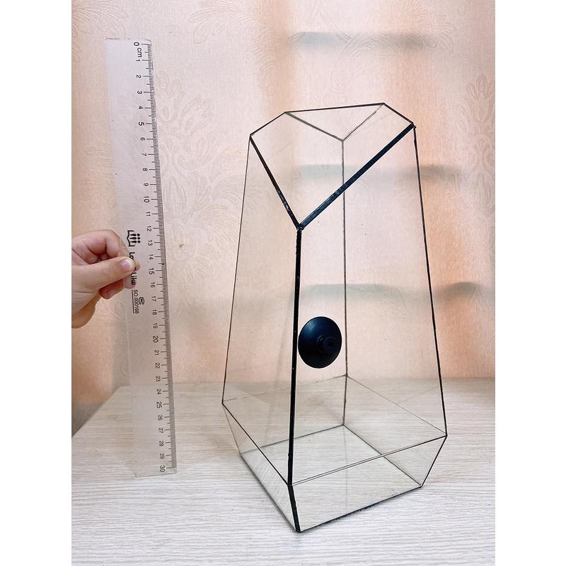Bình thủy tinh Terrarium đa giác