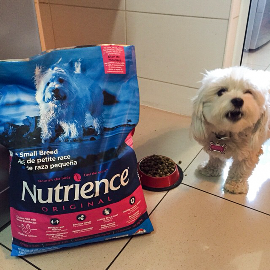 Thức Ăn Cho Giống Chó Nhỏ Nutrience Infusion Bao 2.27kg - Thịt Gà, Rau Củ &amp; Trái Cây Tự Nhiên