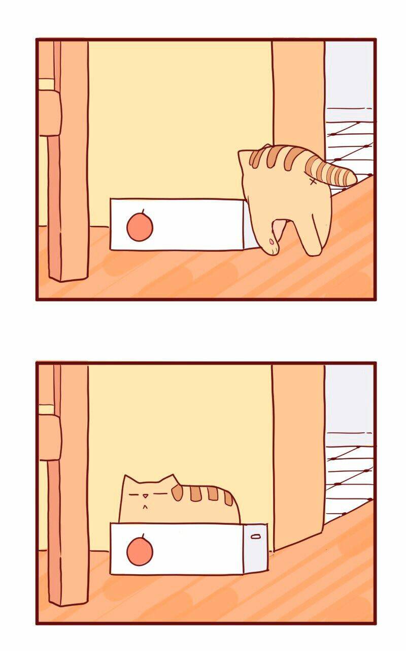 saphie: chú mèo một mắt chapter 10 7