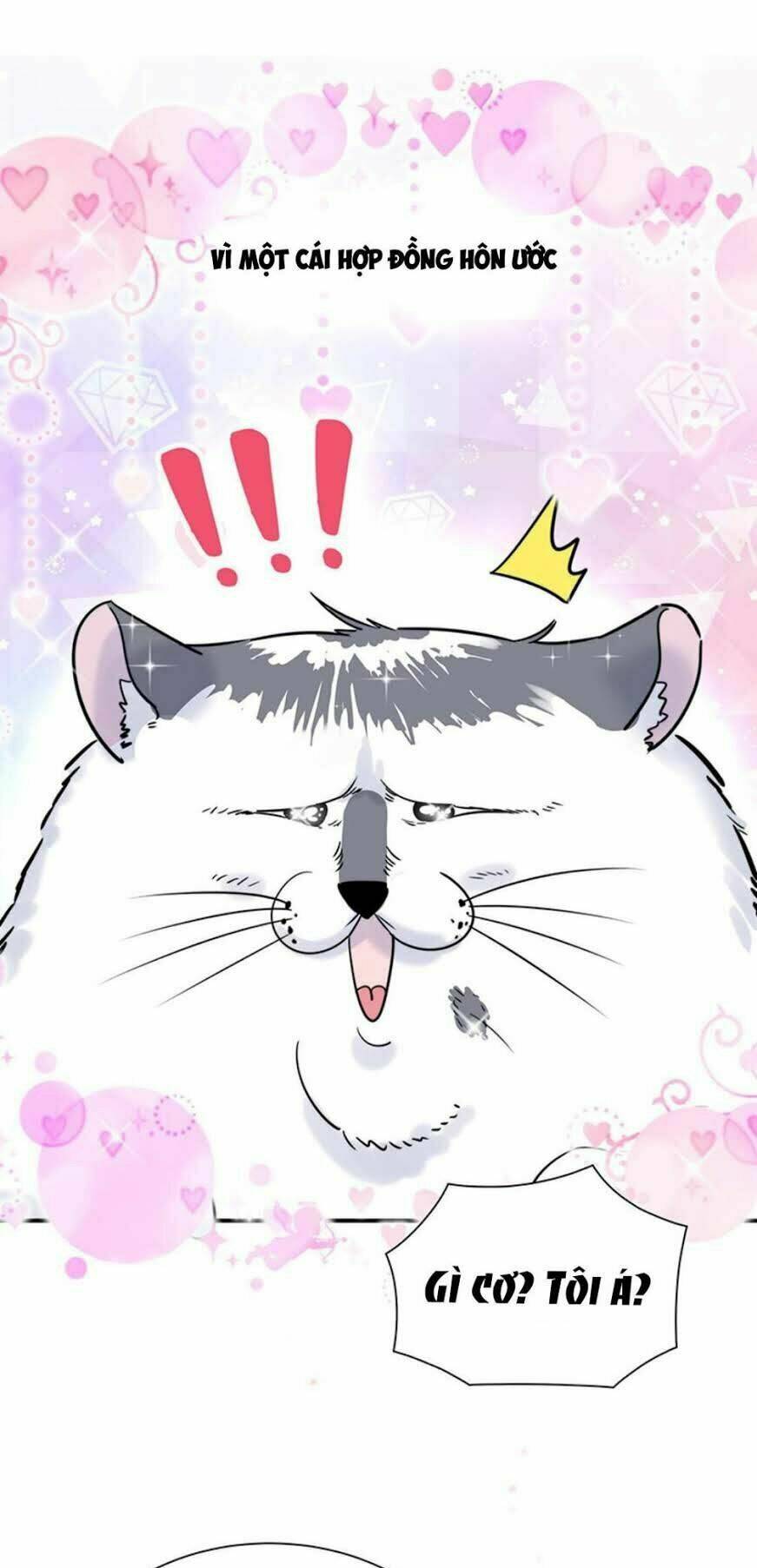 ứng cử viên hôn phu của ta chapter 0 4