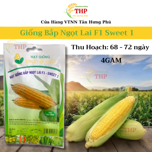 Hạt giống bắp Ngọt Lai F1 Sweet 1 | Hạt giống | Gói 4 gram