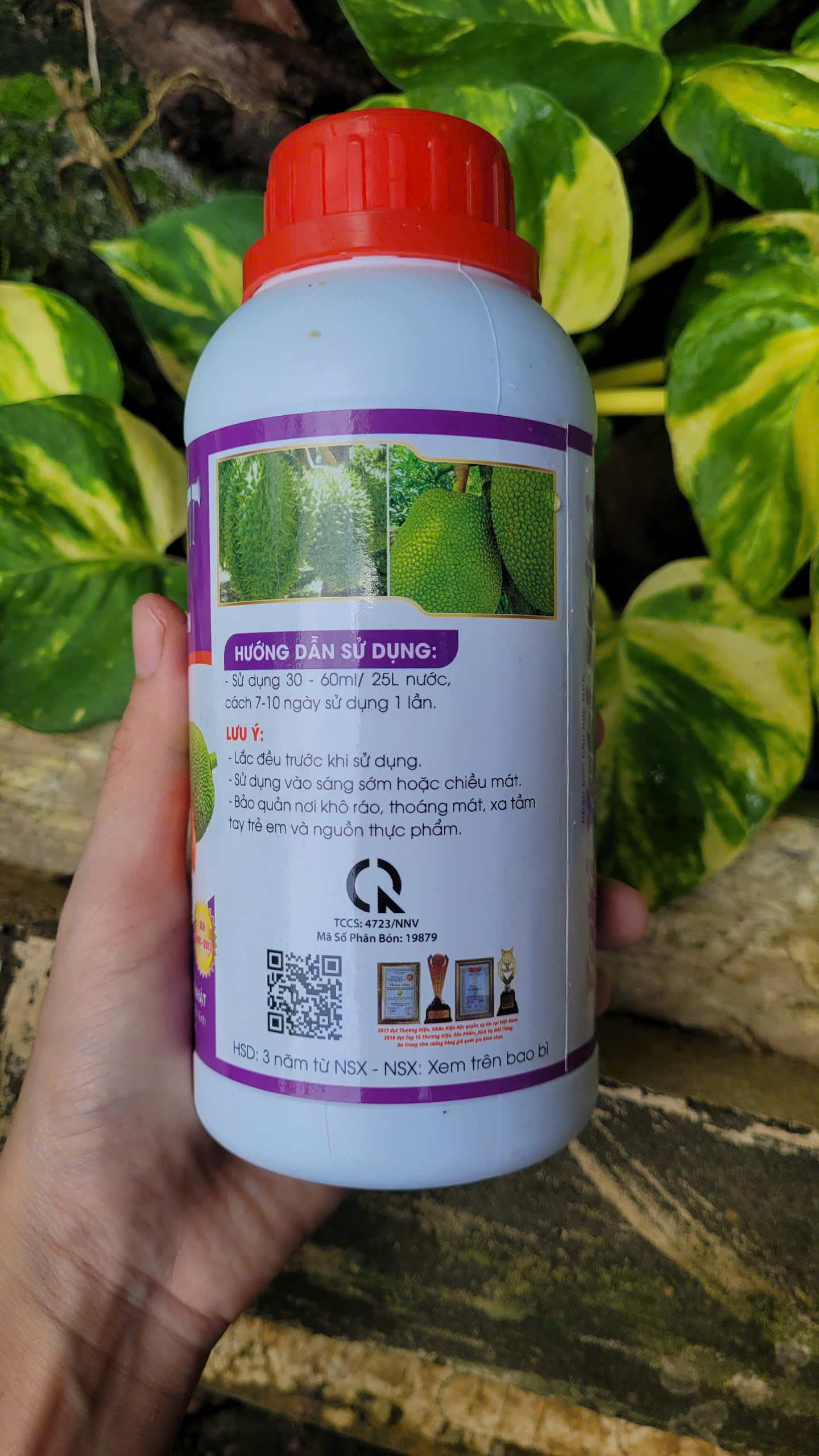 Phân bón Lớn Trái Mít 500ml giúp cây mít phì trái, đặc ruột, nở gai đều, hạn chế sơ đen