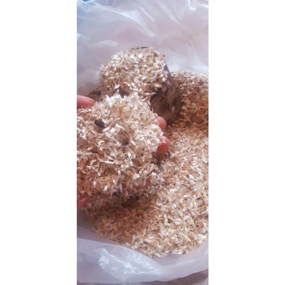 Nửa lon hạt giống cây núc nác