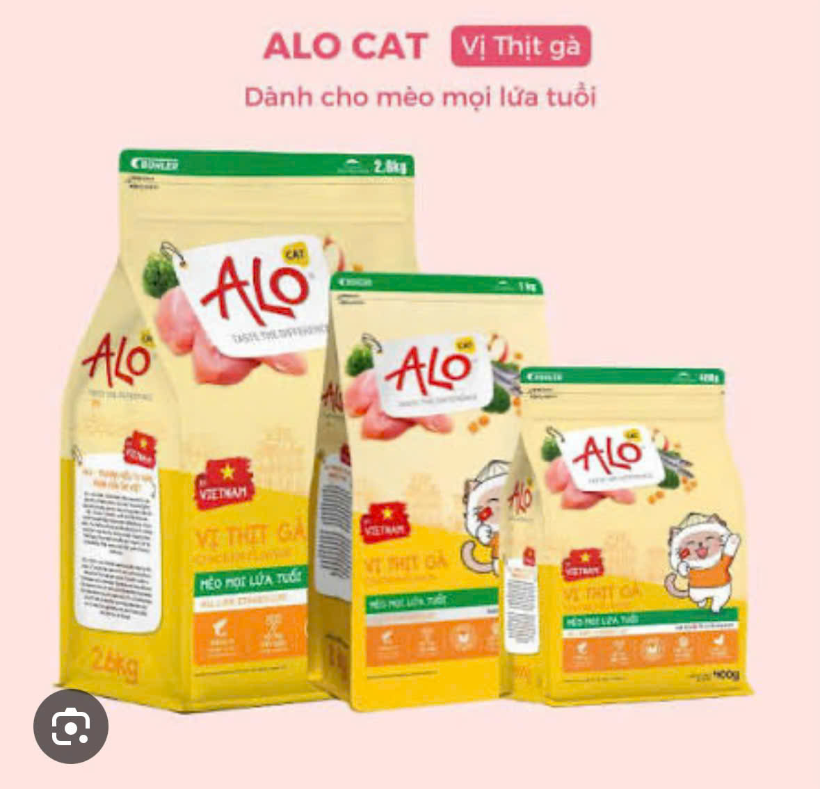 Hạt mèo ALO Việt Nam