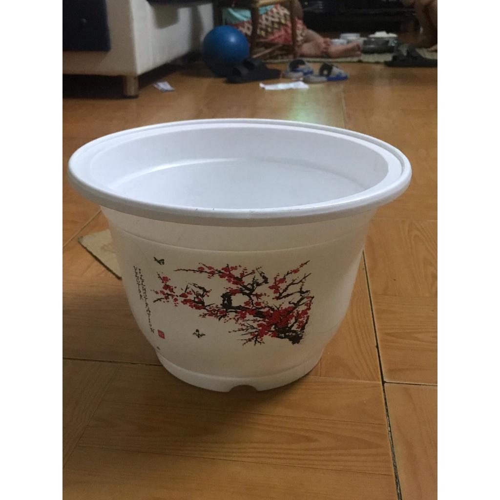 5 chậu nhựa trồng cây - Chậu trồng hoa, trồng rau size 28x20 cm