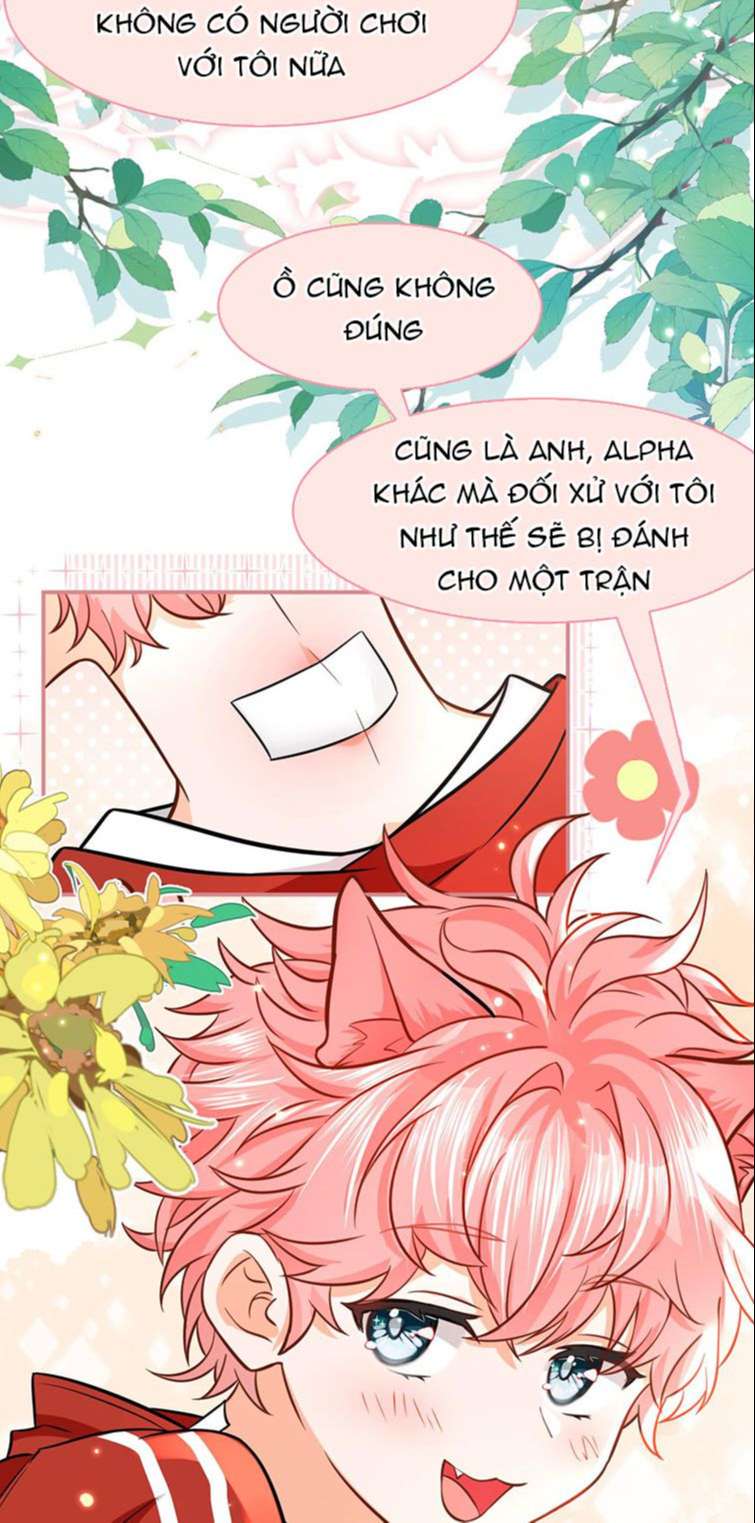 tín tức tố nói chúng ta không thể chapter 60 20