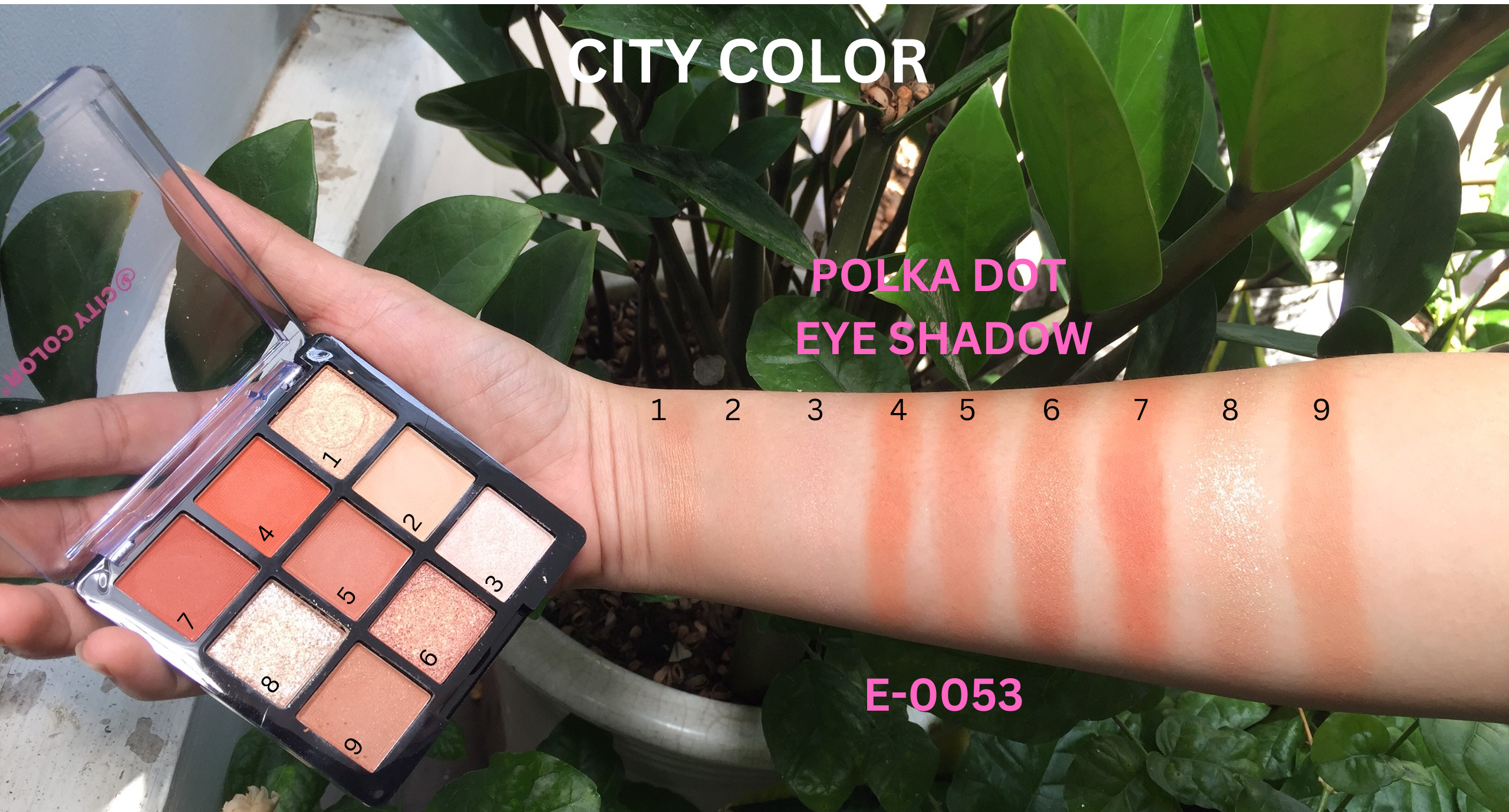 Phấn mắt CITY COLOR Polka dot