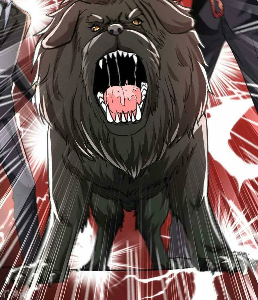 trọng sinh khí thiếu quy lai chapter 147 28