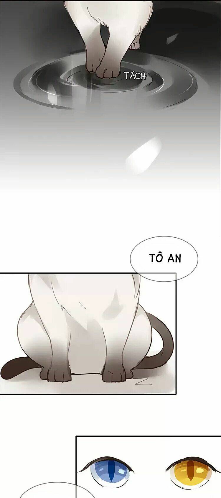 nghe thấy thời gian rung động chapter 1 12