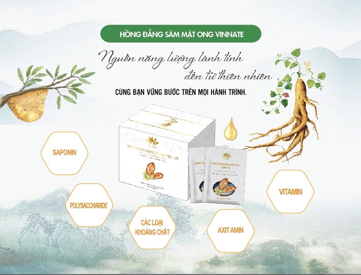Hồng Đẳng Sâm Mật Ong VInnate