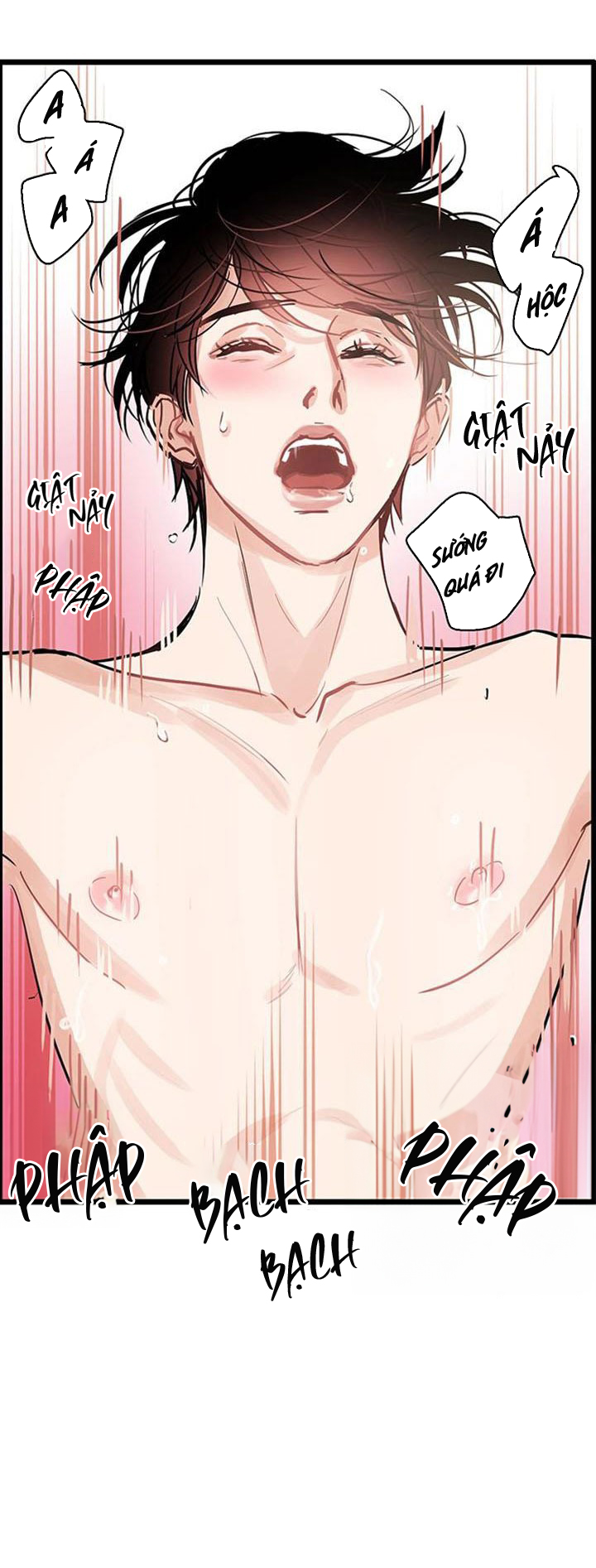 only one chapter 7 28