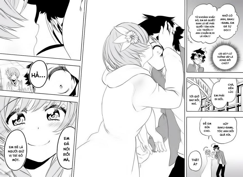 nisekoi - tình yêu giả tạo chapter 195 14