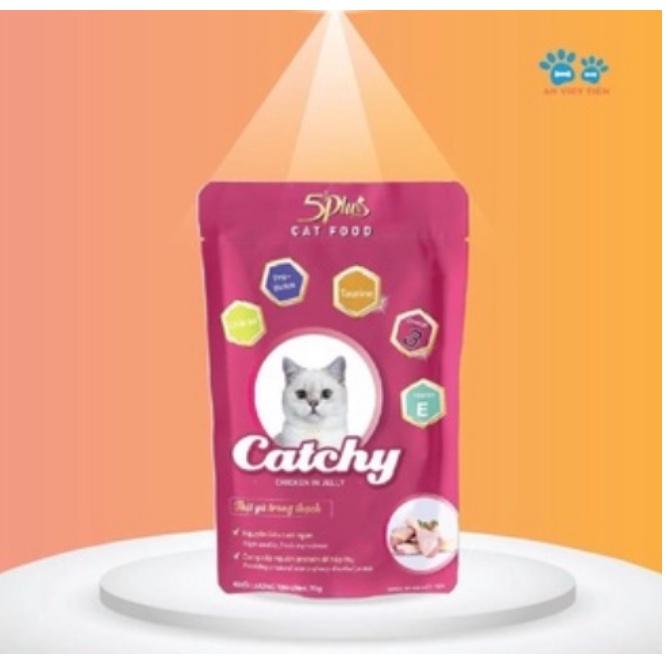 Combo 10 và 20 gói Pate Catchy 5plus dành cho mèo cưng dạng gói 70g nhiều vị hàng việt nam chất lượng cao
