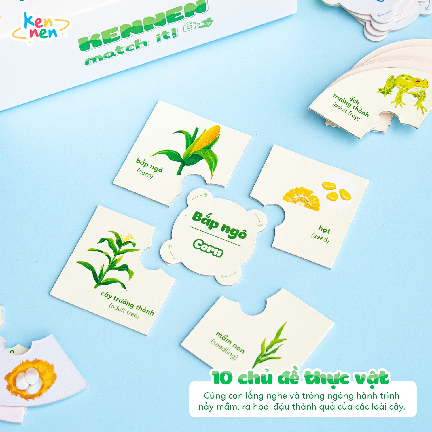Kennen Match it - Puzzle học chữ và đánh vần Tiếng Việt 5in1 và học các Kỹ năng sống, Vòng đời của sự sống - Dành cho bé từ 3 tuổi