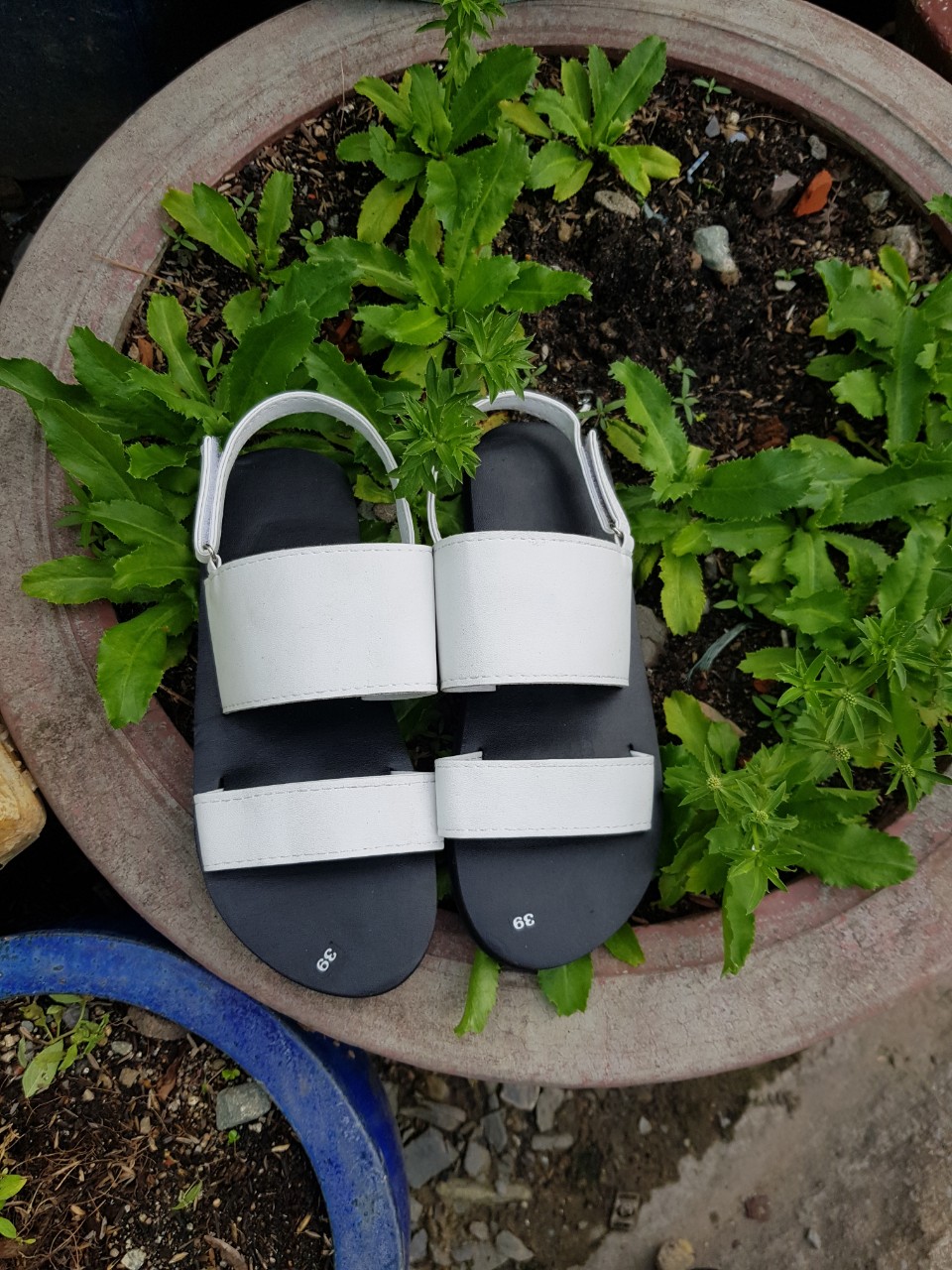 sandal nam nữ sandal ( đế đen quai trắng ) size từ 34 nữ đến 42 nam có đủ màu đủ size ib chọn thêm