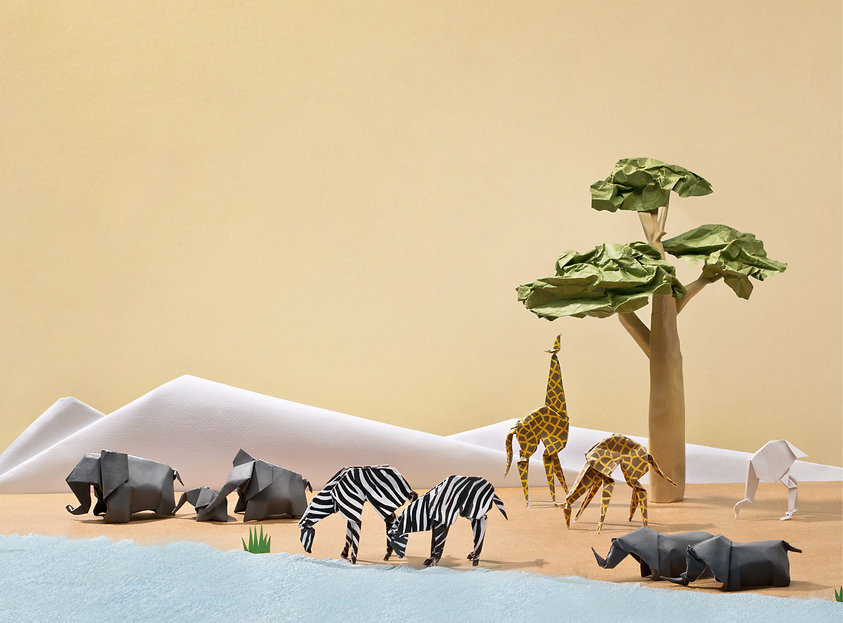 Land Animals Origami – Động Vật Trên Cạn (Sách Nghệ Thuật Gấp Giấy)