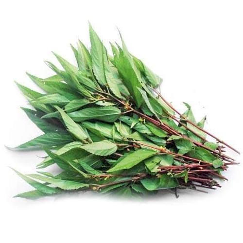 Hạt giống Rau đay đỏ thơm ngon