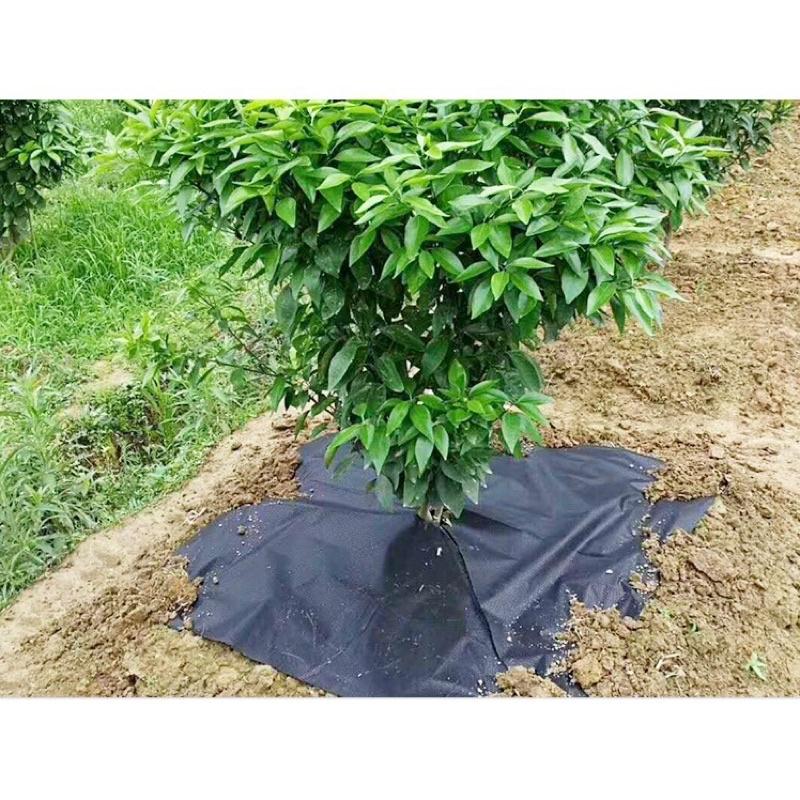 1 TẤM BẠT PHỦ ĐẤT NGĂN NGỪA CỎ , BẢO VỆ DINH DƯỠNG CHO ĐẤT