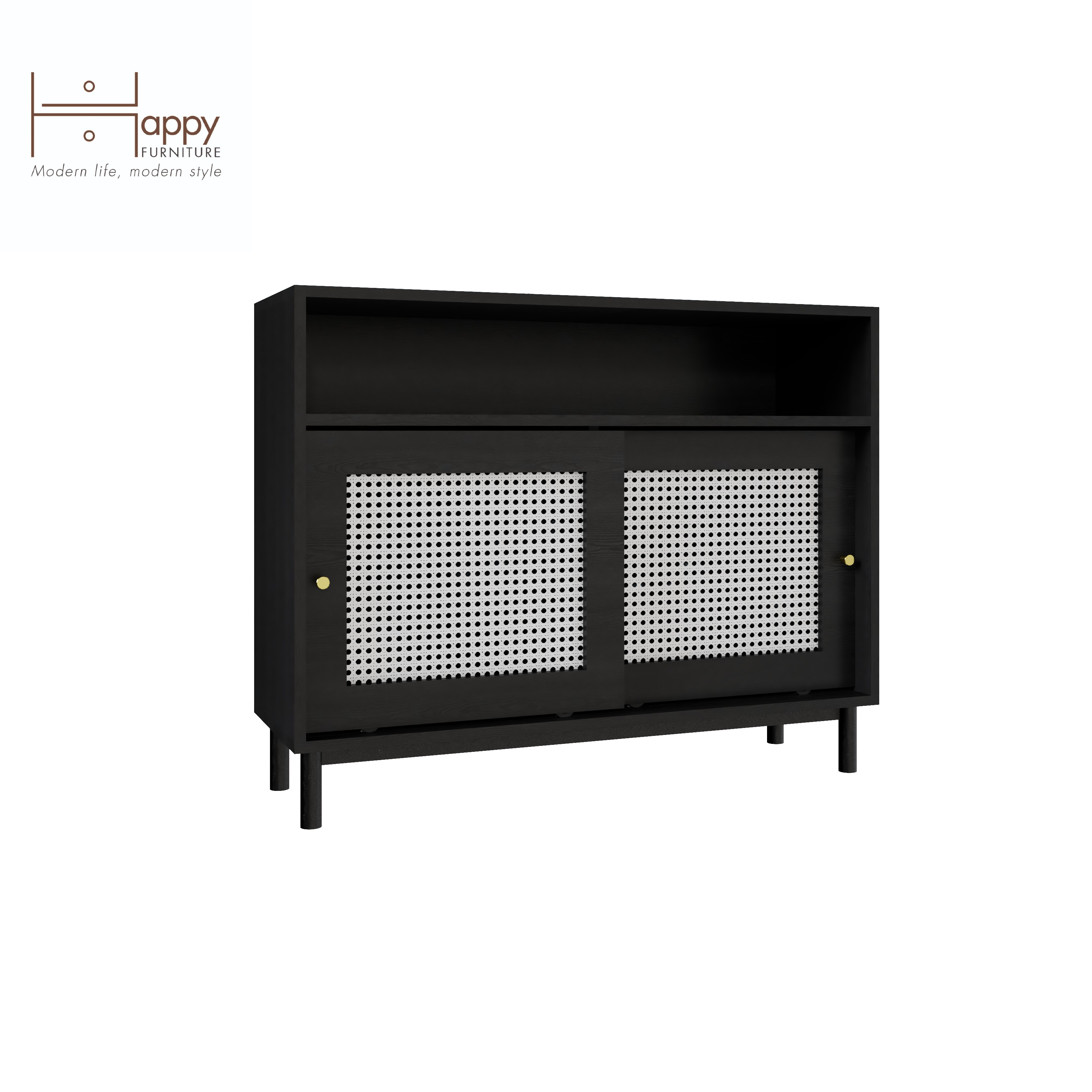 [Happy Home Furniture] ROTAN, Tủ đựng đồ 2 cánh lùa - chân sắt , 100cm x 34cm x 80cm ( DxRxC), TCL_033