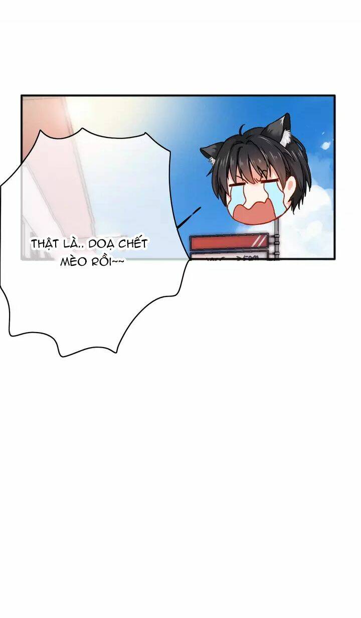 thập quang mật ngữ chapter 11.5 35