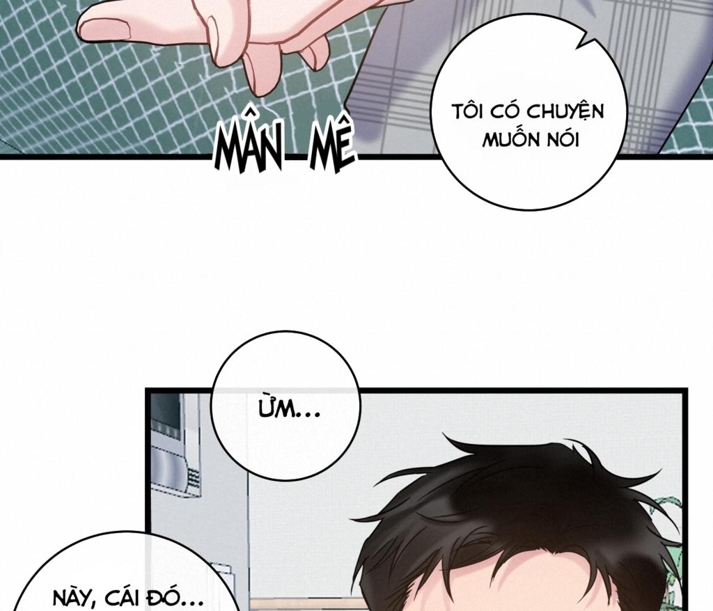 tình yêu bình dị nhất chapter 13 38