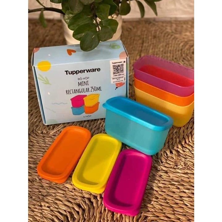 Bộ 4 hộp Tupperware Mini Rectangular 250ML