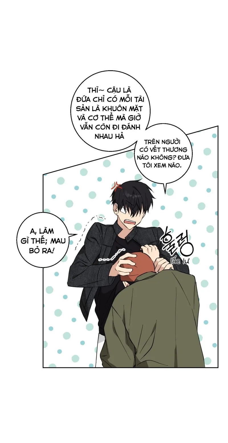 hãy bảo vệ tình yêu thuần khiết! chapter 8 5