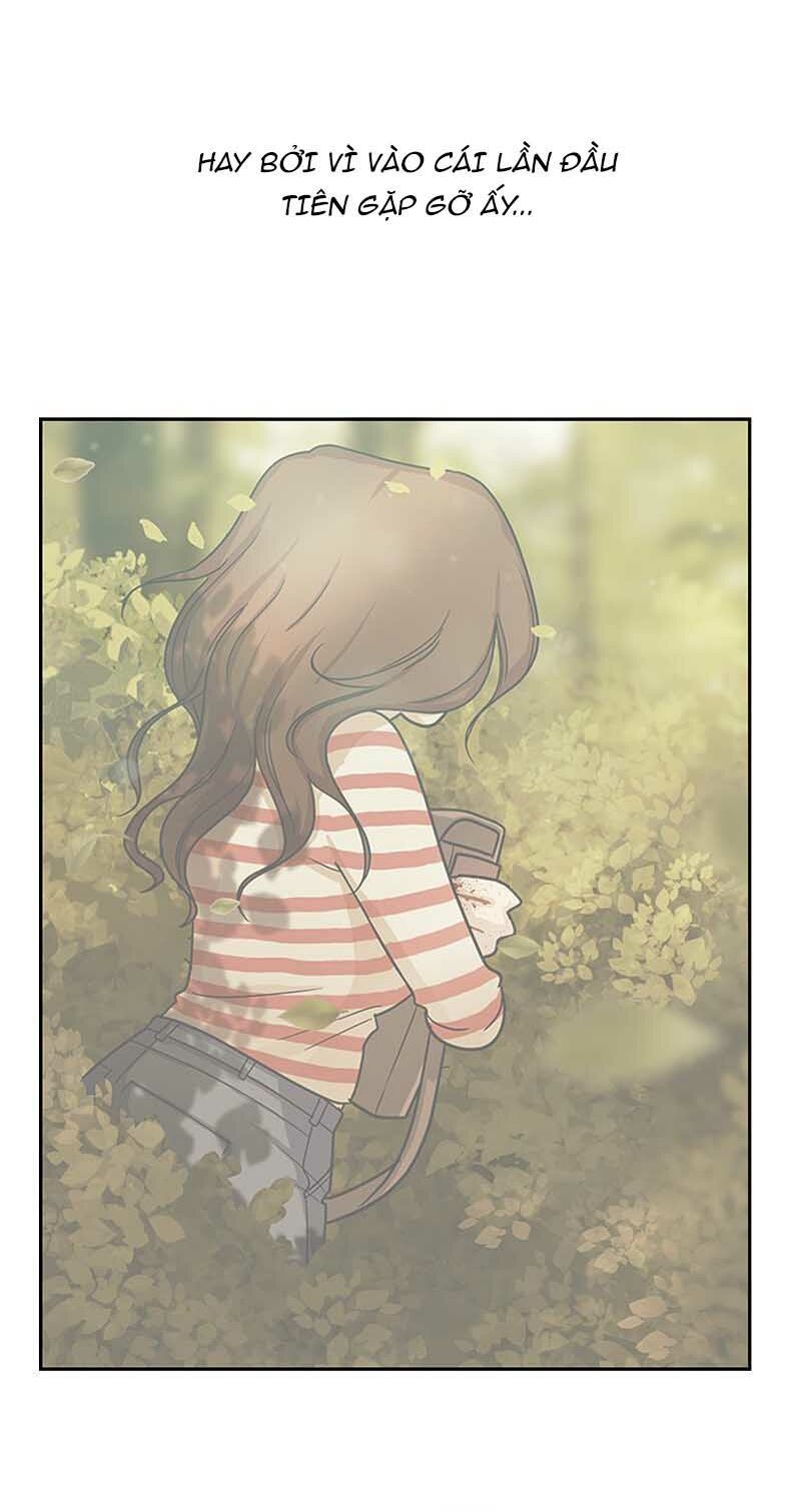 nửa đêm ở poppy land chapter 40 49