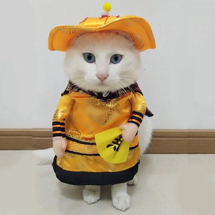 Áo cosplay đáng yêu hình thù ngộ nghĩnh cho thú cưng, áo hóa trang chó mèo