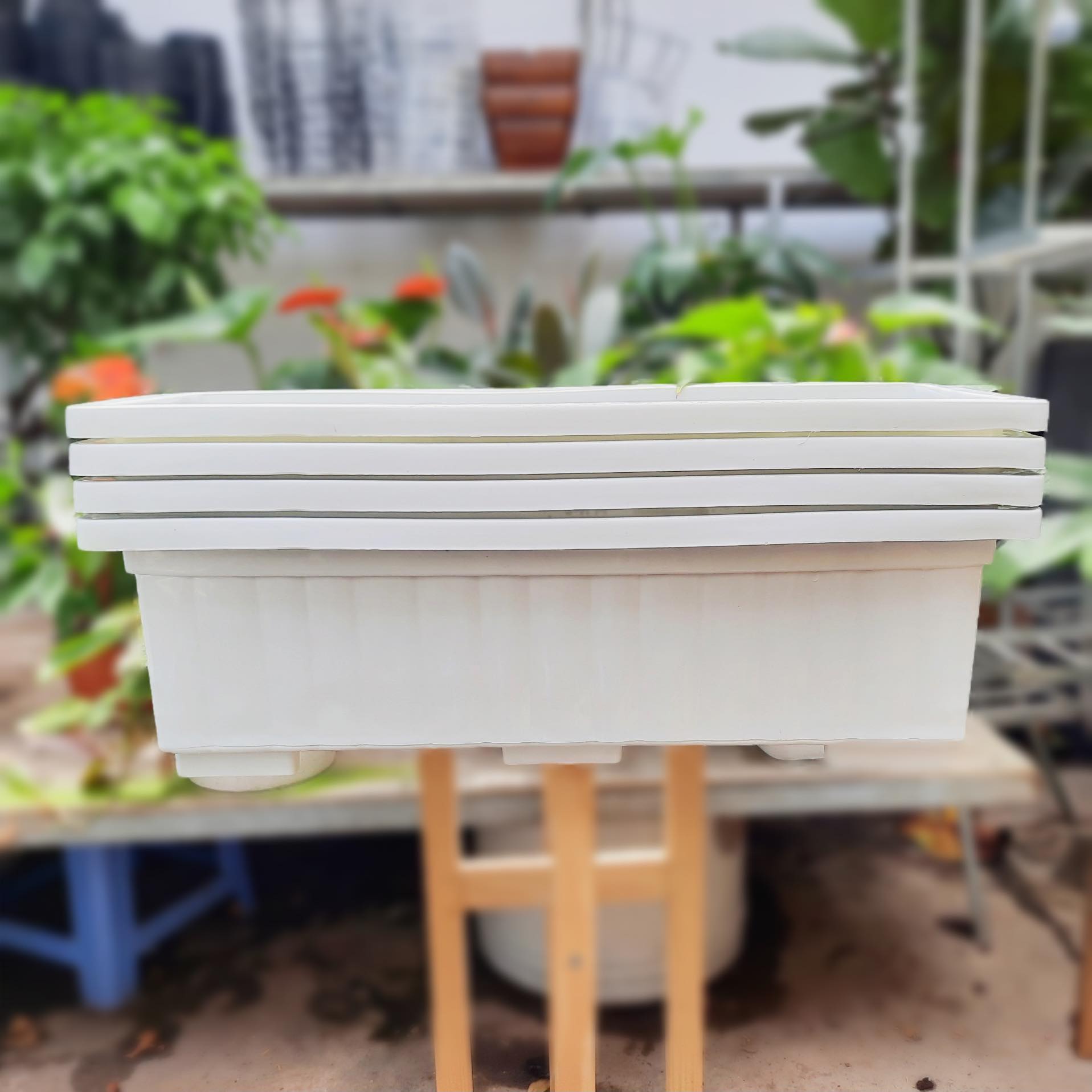 Chậu chữ nhật thông dụng trồng hoa, rau treo ban công kích thước 65*25*20