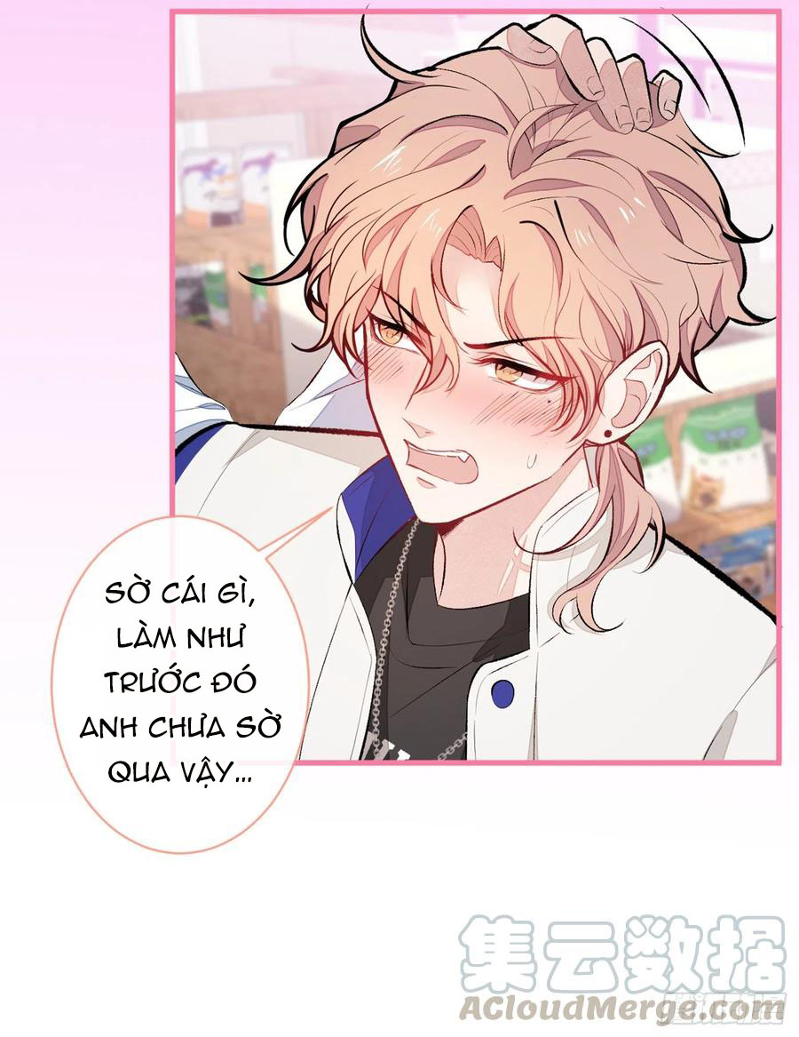 lại bị nam thần chọc trên hot search! chapter 54 13