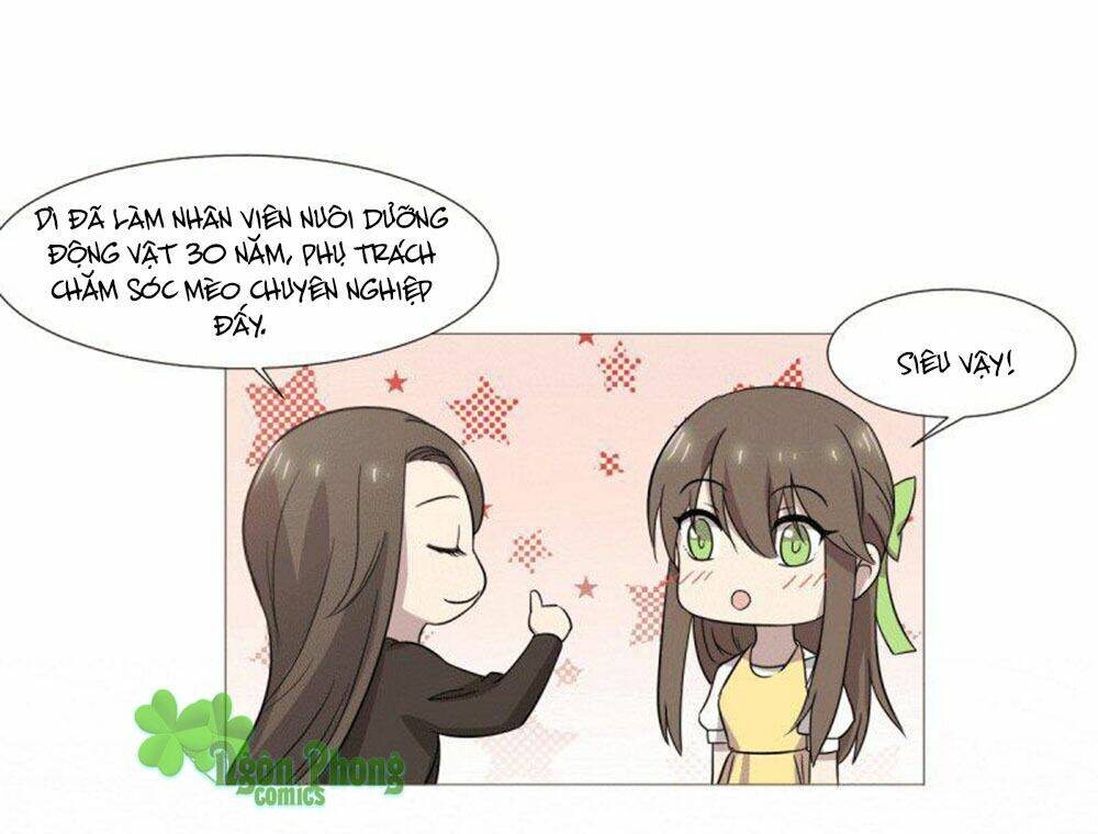 hai chú mèo totem chapter 38 55