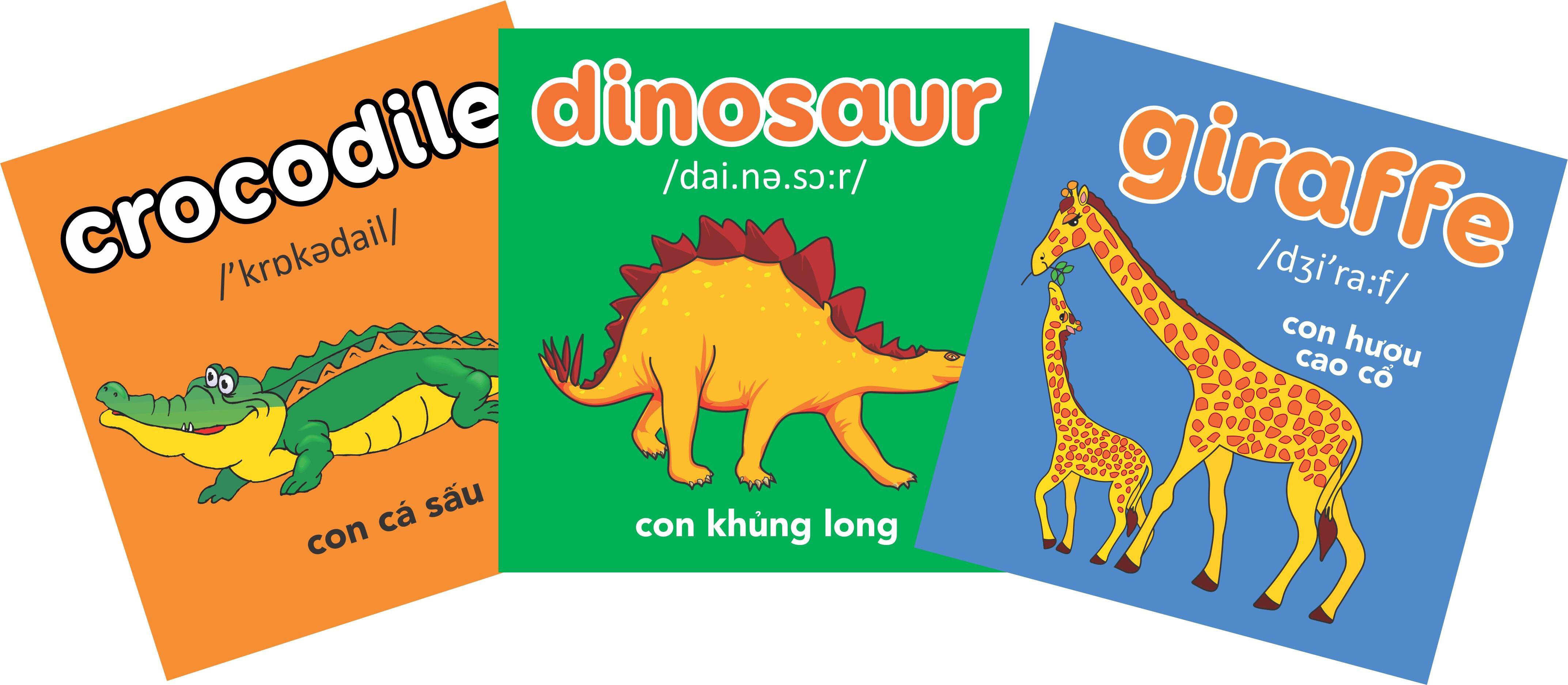 Trọn bộ Thư viện hình ảnh đầu tiên cho bé - Hộp 8 cuốn