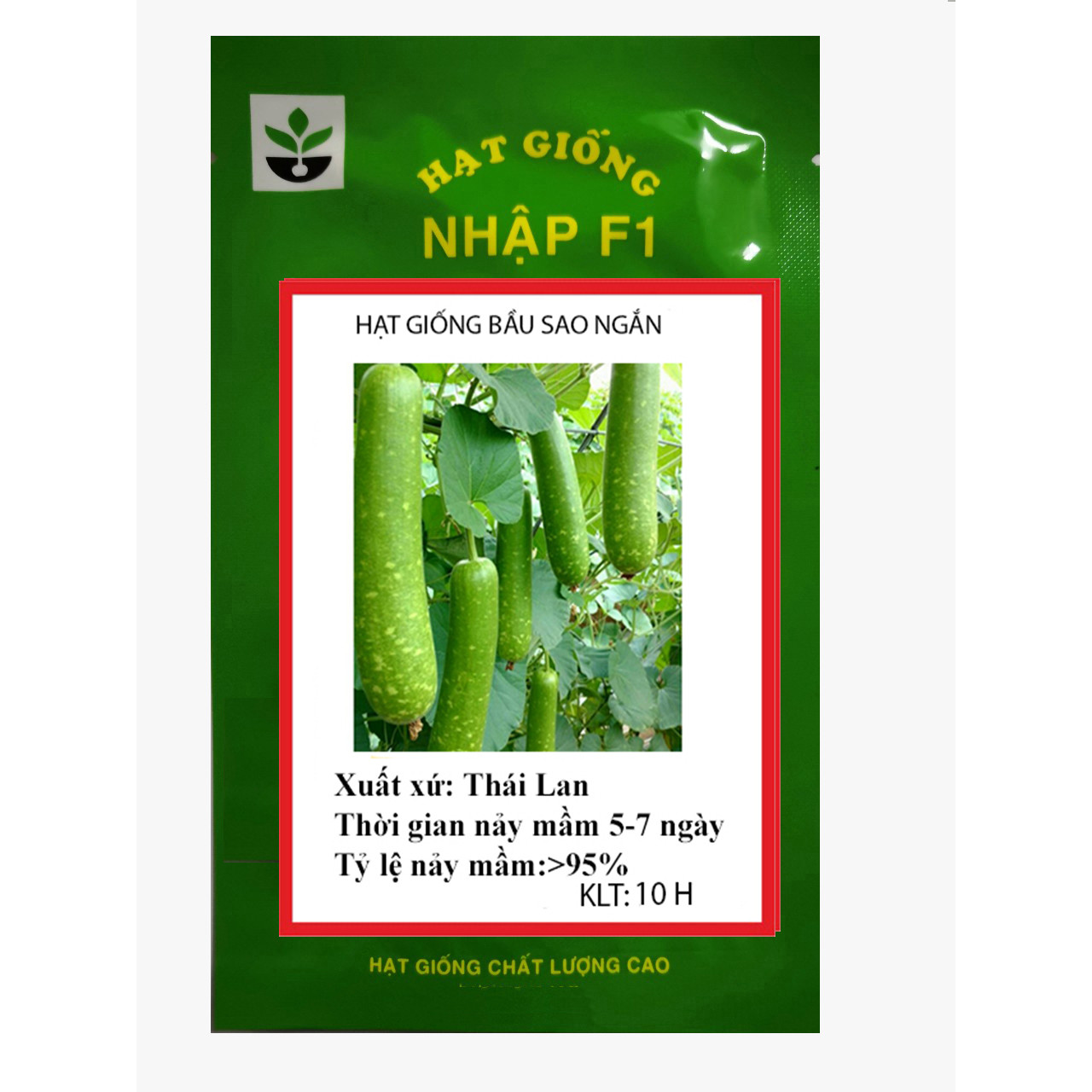 10 hạt giống bầu sao ngắn