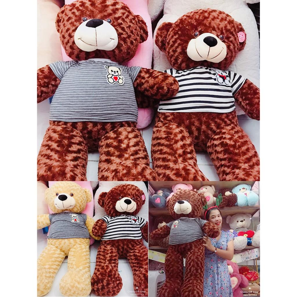 Gấu Bông Teddy Áo Xọc Giá Sốc 1m1 Ảnh Shop Chụp