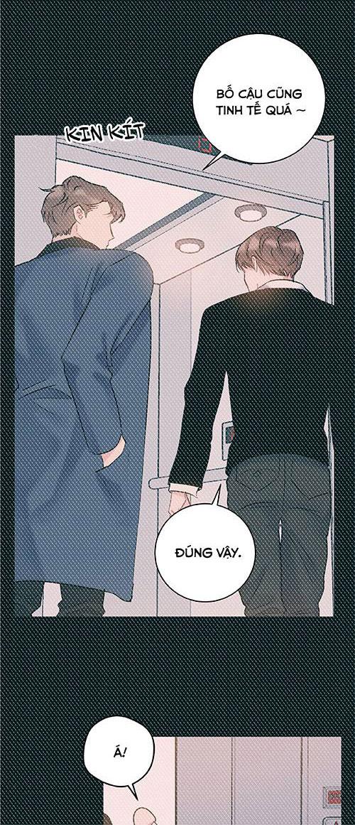 tình yêu bình dị nhất chapter 31 23