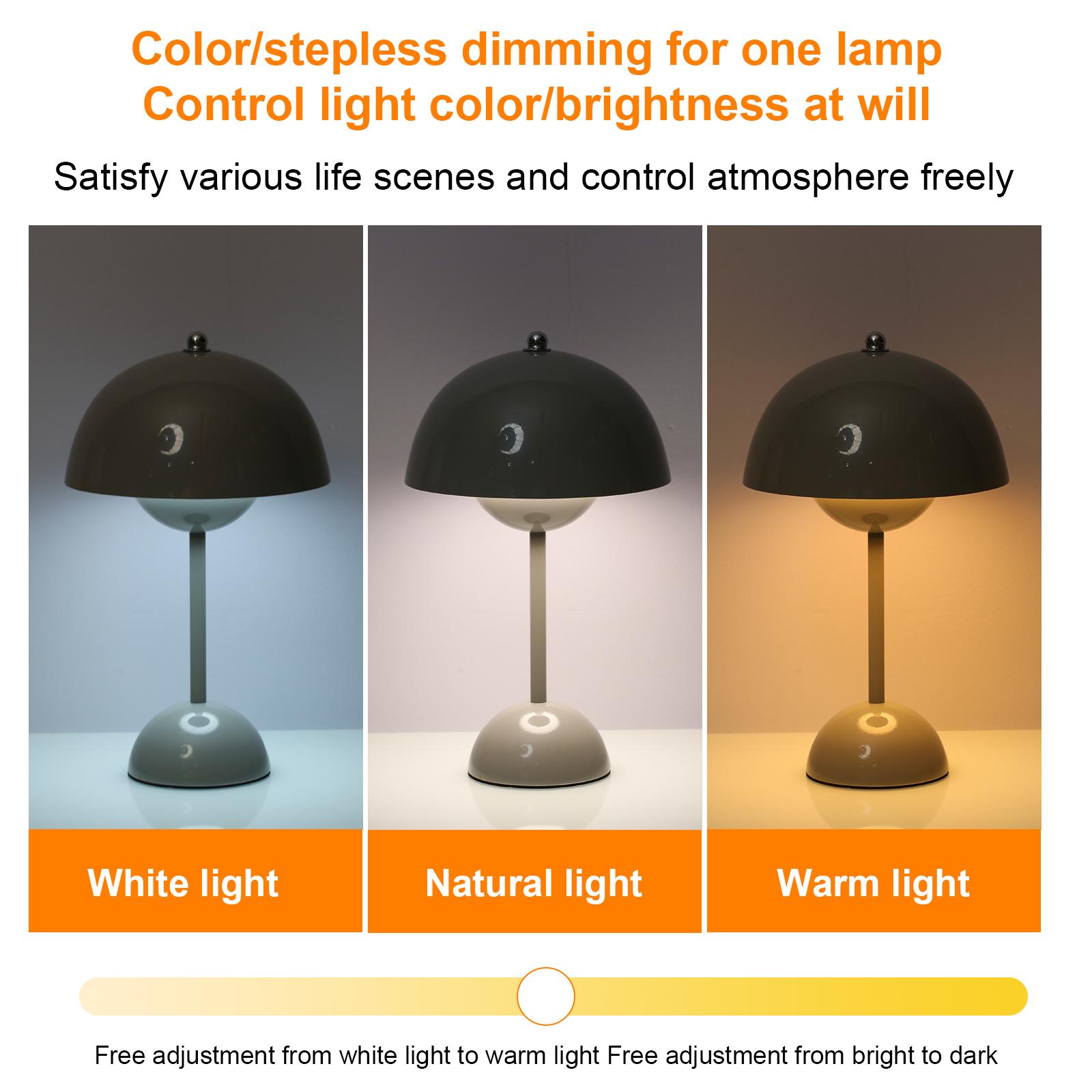 Neoglint USB Rechargeable Table Lamp Touching Control Bedside Night Light Decorative Bedroom Nightstand Lamp