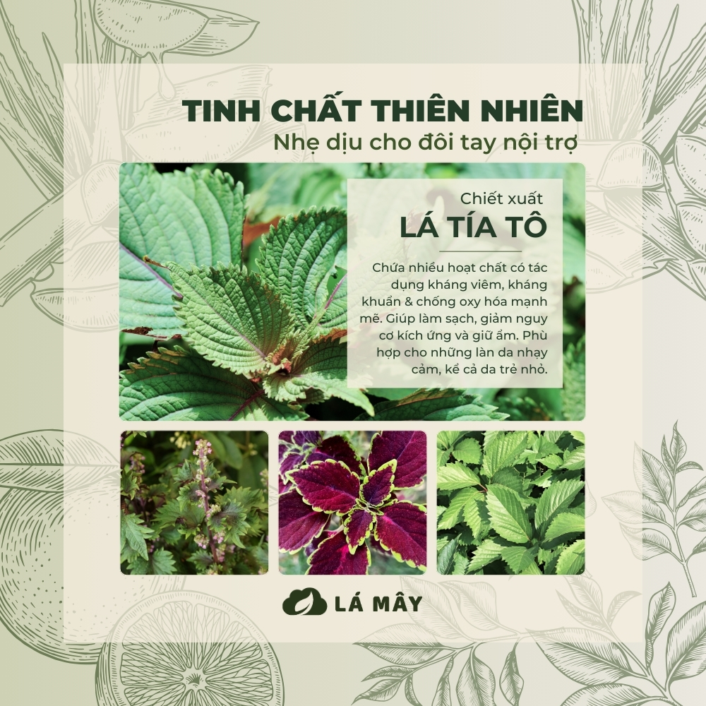 NƯỚC RỬA CHÉN BÁT (KHÔNG ĐẬM ĐẶC) TÍA TÔ &amp; TÁO XANH LÁ MÂY 500 mL