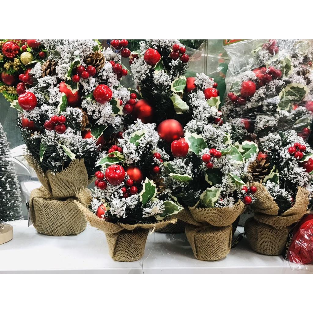 Cây thông để bàn phủ tuyết kèm quả táo và cherry hàng laoji 1 việt nam