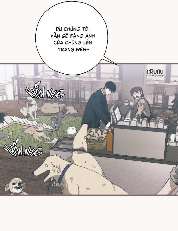 (cbunu) tráo đổi chapter 63 30