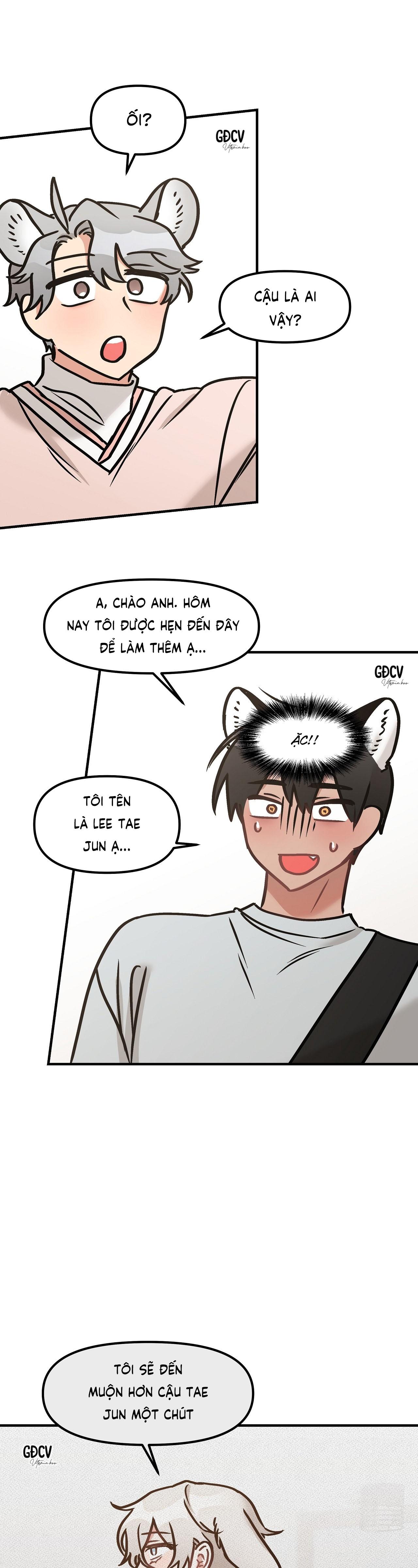 thưa ngài hổ, tôi đã ăn rất ngon miệng chapter 14 19