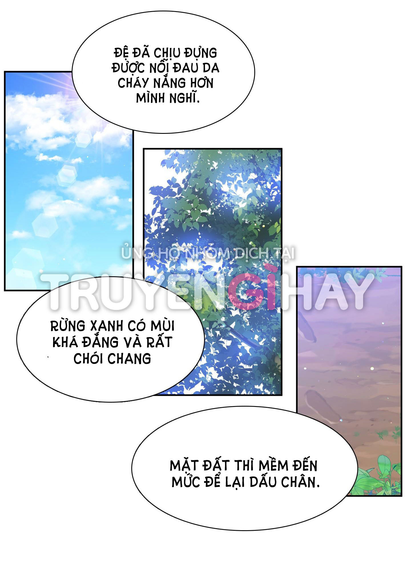 mắt phủ toàn sương chapter 66 45