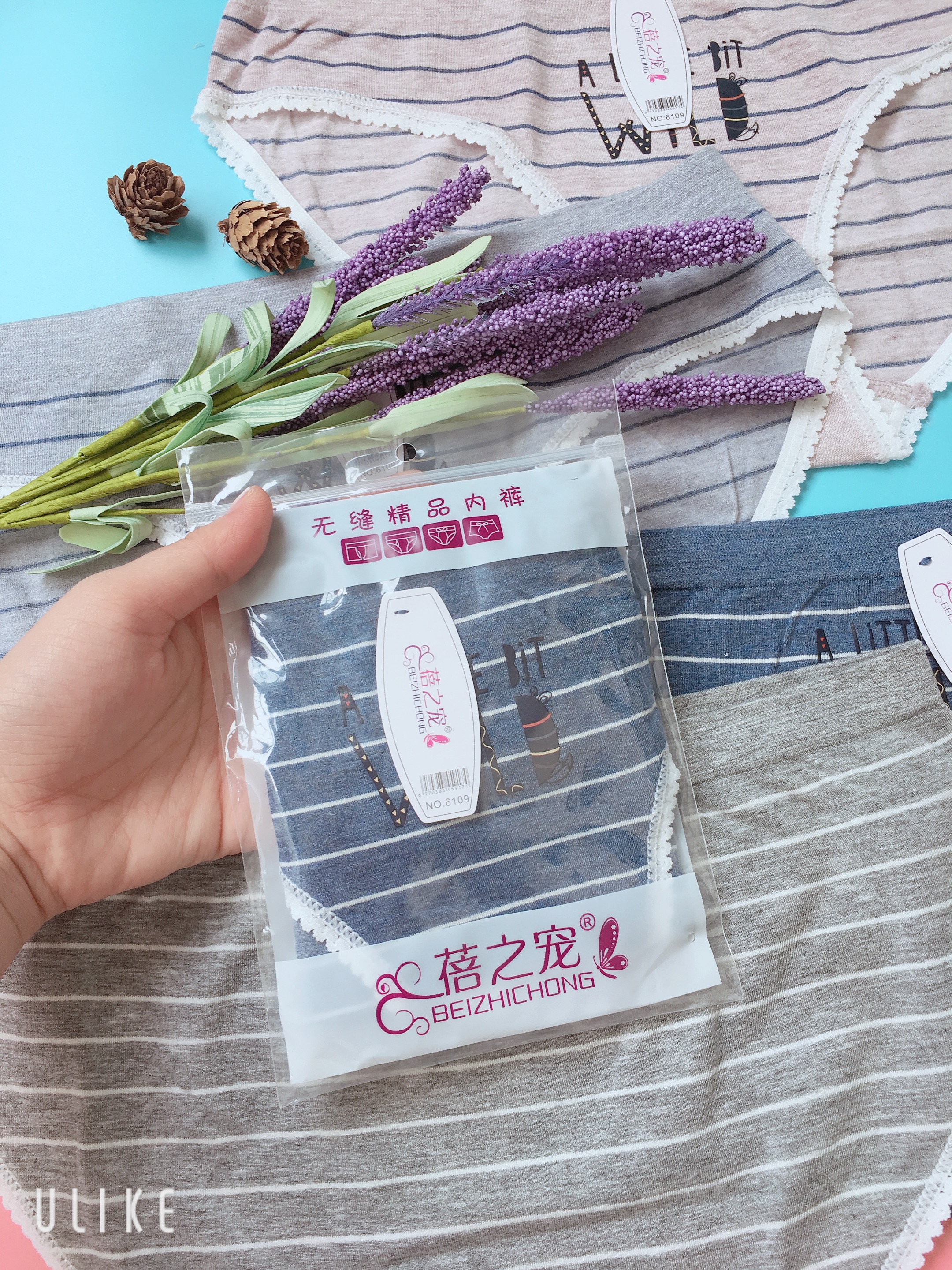 combo 3 quần lót cotton siêu đẹp có túi zip mỗi quần fom từ 48-60kg mặc vừa ( giao màu ngẫu nhiên)