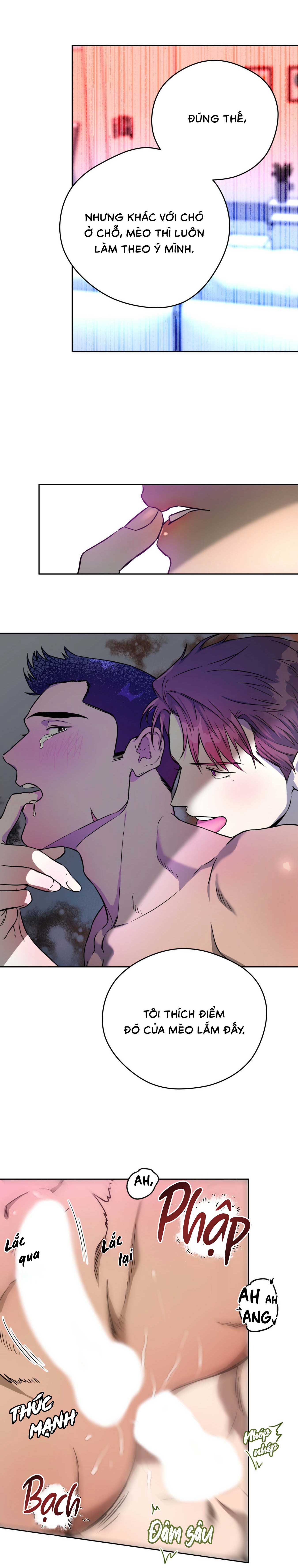 ang ang chapter 22 7