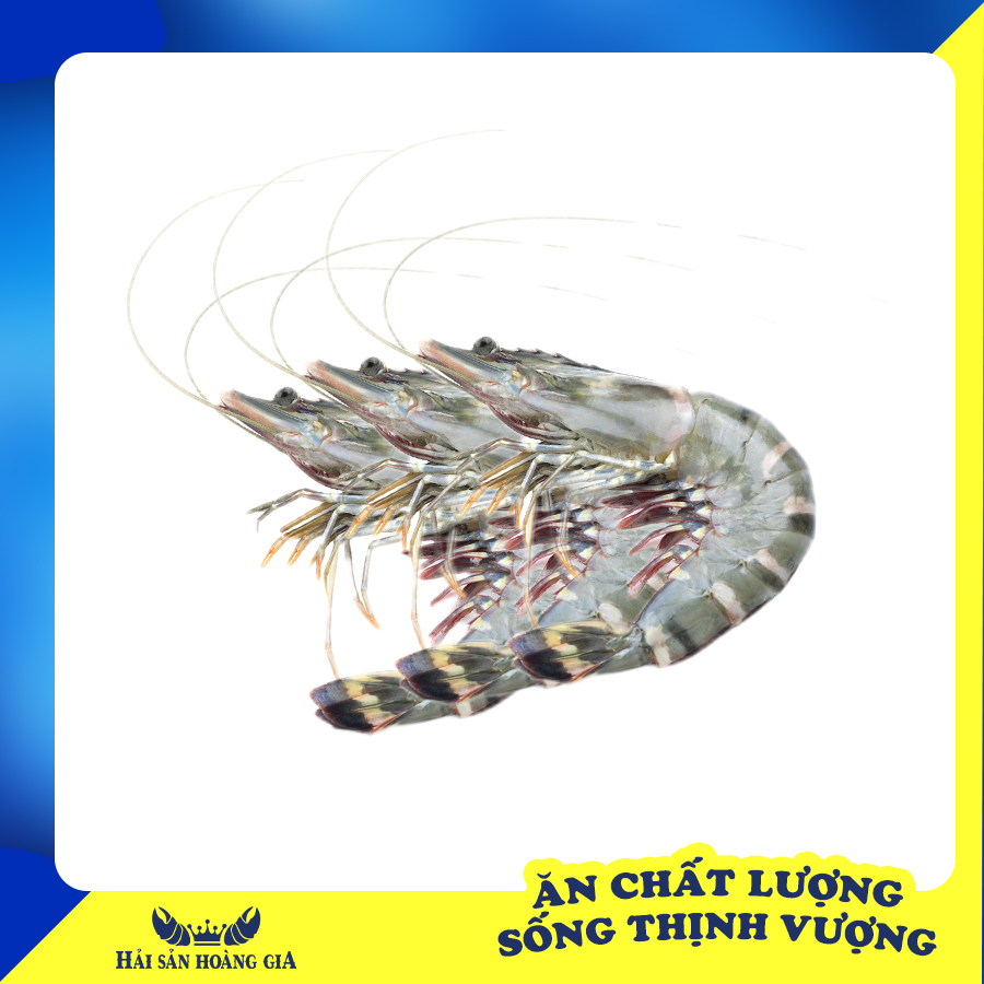 Cá hồi fillet SG Food 200g