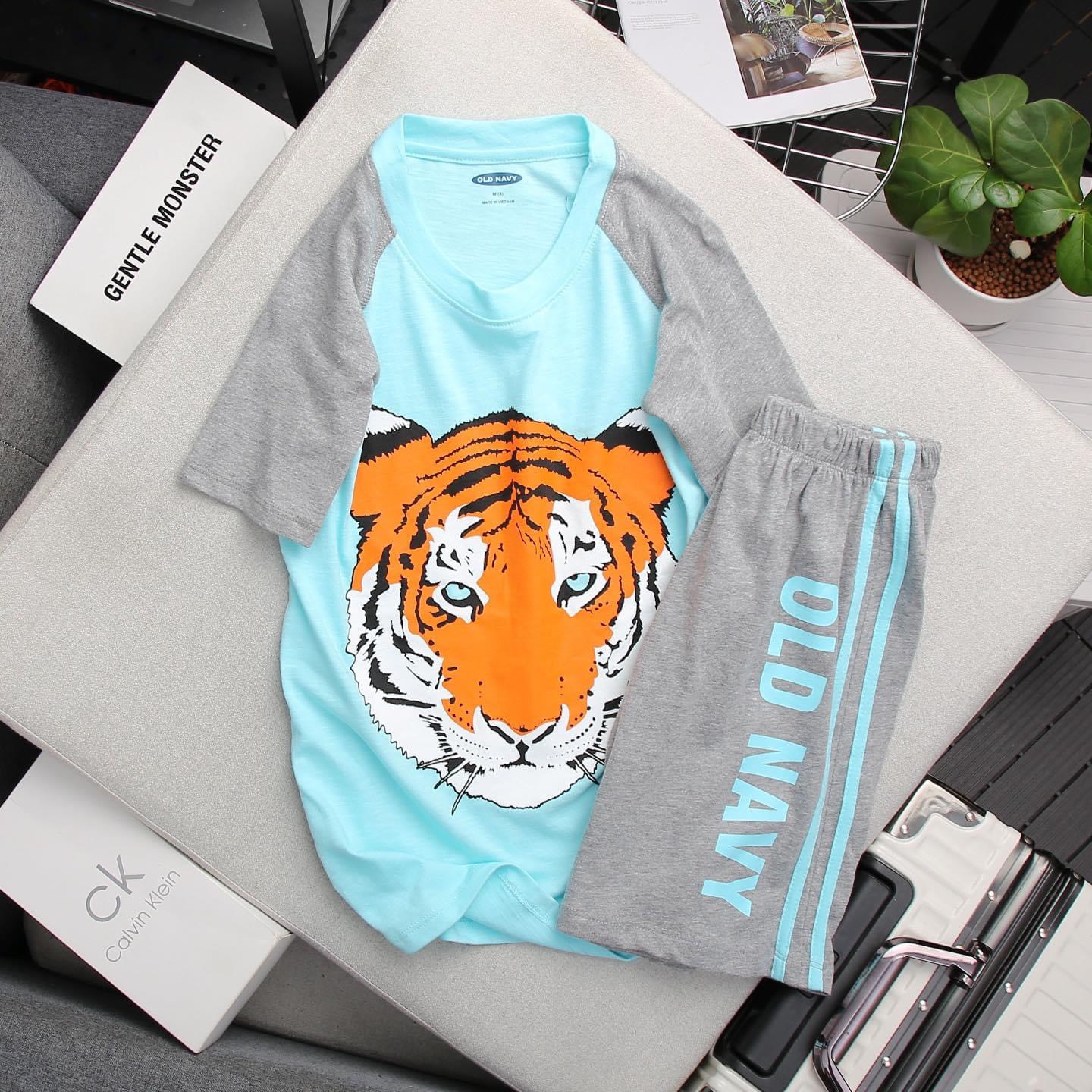 Đồ bộ bé trai, bộ mặc hè cho bé trai 100% cotton mềm mát